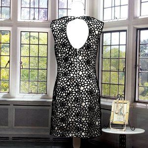 LUXOLOGY BLACK FLORAL LACE SLEEVELESS KNEE LENGTH DRESS (8)